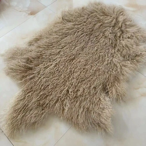Caqui