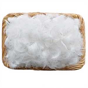 Vente en gros MH MJ-GF001 – Plumes de canard blanches lavées de 2-4 cm à bon <span class=keywords><strong>prix</strong></span> pour oreillers et canapés - Product Image 1