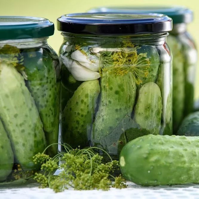 Top Quality Automatic Pickled Vegetable Canned