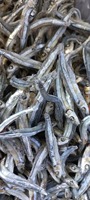 Produits de la mer séchés en provenance d'usine : Anchois, crevettes bébés, scad OEM 500 grammes 1 kg - Seafood(at)linda(dot)com -W/S: 0084 9989 322 607