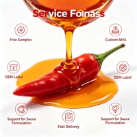 Extrait de Capsicum Oleoresine Liquide Soluble dans l'Huile, Fourniture d'Usine, Extrait Naturel de Piment Fort, Couleur Rouge Intense, Assaisonnement Piquant pour Nouilles Turques