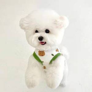 Chaleco para Perro con Estampado de Animales, Ropa de Verano para Mascotas de Poliéster, Tallas Pequeña, Mediana y Grande - Product Image 3