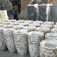 Populaire aux pays-bas, modèle de mer, jardinières à coquillages, Vase de sol en nacre