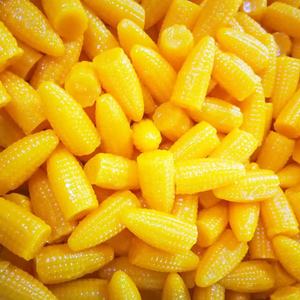 sweet corn flavour soft jelly candy from beef gelatin
