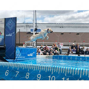 <span class=keywords><strong>Piscina</strong></span> Plegable <span class=keywords><strong>para</strong></span> Mascotas, <span class=keywords><strong>Perros</strong></span> y Gatos, <span class=keywords><strong>Piscina</strong></span> de PVC <span class=keywords><strong>para</strong></span> Interior y Exterior, <span class=keywords><strong>para</strong></span> Nadar, Jugar y Entrenar, <span class=keywords><strong>con</strong></span> Marco Metálico Elevado - Product Image 3