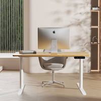 Bureau d'ordinateur ergonomique à 2 moteurs avec pieds ronds, réglable en hauteur, électrique, intelligent, pour le travail à domicile, mobilier de bureau