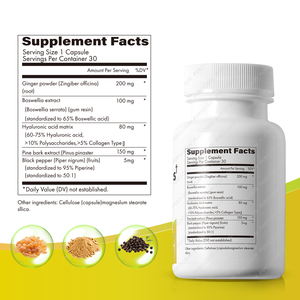 Suppléments aux extraits de plantes vitaminées pour adultes Chlorhydrate de berbérine 2000mg Capsules Poudre de bonbons gommeux pour femmes enceintes et adolescentes - Product Image 3