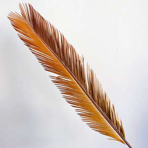 Foglie di Cycas Essiccate all'Ingrosso, Fogliame <span class=keywords><strong>Verde</strong></span> Naturale a Lunga Durata per Bouquet di Matrimonio, San Valentino e Capodanno Cinese, Decorazioni per la Casa - Product Image 3