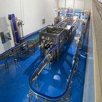 Machine de remplissage d'eau en bouteille monobloc, 3000 BPH, eau pure 500 ml 1 L PET pour projet de ligne de production d'eau potable pour startups