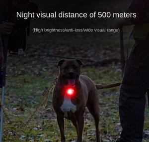 Collier pour chien en plastique avec lumière LED, pendentif de sécurité, colliers et laisses personnalisés pour animaux de compagnie pour la marche nocturne, la course, le camping, pour garder votre animal visible - Product Image 2