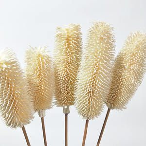 Pinceau Boho en forme de bouteille naturelle, motifs de fleurs séchées, pour un Arrangement Floral, tête de <span class=keywords><strong>plante</strong></span> préservée, Branches de Banksia Dipsacus - Product Image 1