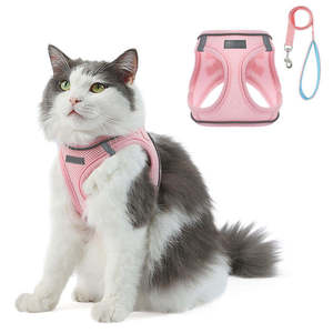 Neues Design Hundegeschirr und Leine Set, Weiches Mesh-Welpengeschirr ohne Ziehen für Kleine und Mittelgroße Hunde und Katzen - Product Image 2