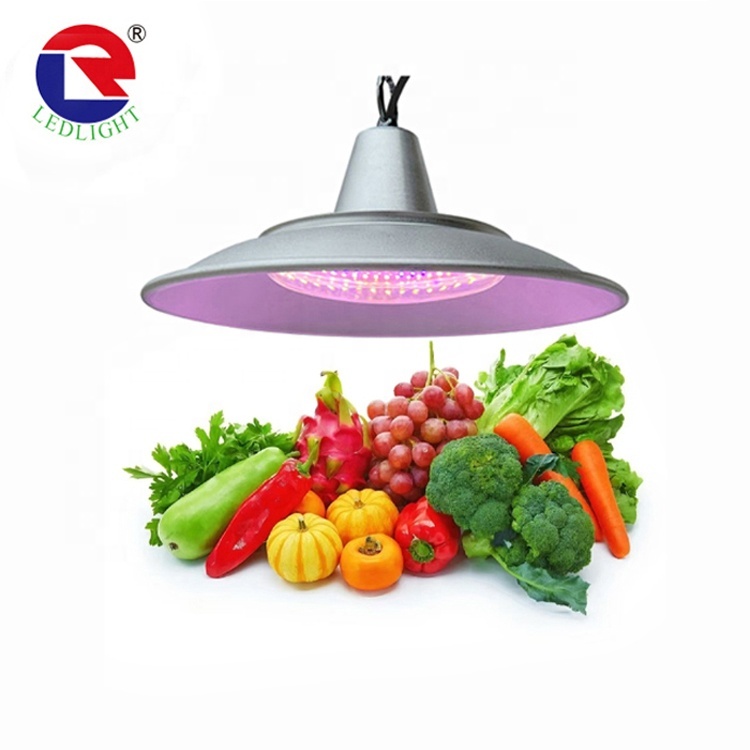 Full Spectrum 50W 80W Vegetable Grow
