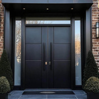 Porte d'entrée double sur mesure avec cadre en acier robuste, traitement de surface anti-corrosion, fournisseur