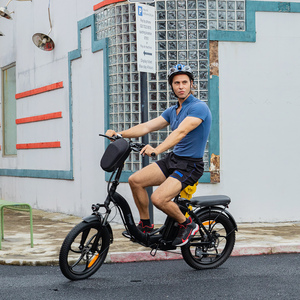 2023 pologne nouveauté 48V 10Ah batterie e-bike 350 Watt moteur pédale Assistant vélos électriques avec siège - Product Image 3