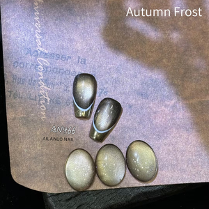AILANUO 4 Colors New Wholesale Moonlight Ceramic Fantasy Cat Eye <b>Gel</b> Polish <b>Kit</b> Manufacturer Cat Eye <b>Gel</b> <b>Nail</b> Polish Set - Product Image 2
