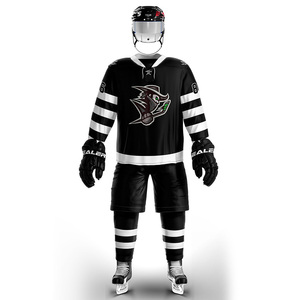 Uniformes de Hockey sobre Hielo de Alta Calidad para Equipos Masculinos, Conjunto de Uniformes Personalizados al por Mayor, Camisetas de Hockey Sublimadas y Cosidas OEM - Product Image 6