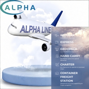 Exw FCA FOB DDP โอเชียเนียแอฟริกาตัวแทนจัดส่งด่วนตัวแทนจัดส่งสินค้าจีนไปยังเอธิโอเปีย - Product Image 2