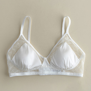 हॉट सेलिंग स्पॉट मेष ब्रा सेक्सी रेशम लेस ब्लैक वेव पूर्ण कवरेज समायोज्य स्ट्रैप तार-मुक्त प्लस आकार ब्रा - Product Image 6