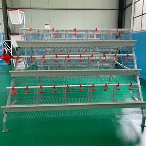 BT hot selling 120 birds chicken cages for sales