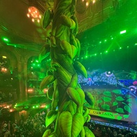 Décoration de scène de théâtre gonflable personnalisée, plantes vertes géantes gonflables pour le plafond, vignes pour pantomimes, Jack et la tige de soja