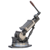Étau universel inclinable en fonte de précision QW100 QW125, à angle réglable, pour fraisage, perçage et rectification