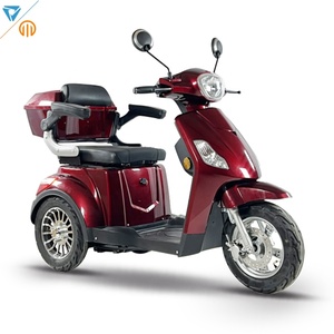 Electric <strong>Tricycle</strong> for Adults 3 Wheel Cargo Trike with Large Rear Basket Passenger Electric <strong>Bike</strong> for <strong>Seniors</strong> Daily Commuting - Product Image 1