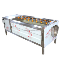 Légumes racines 500-1000kg/heure éplucheur de lavage de patates douces 304 acier inoxydable carotte gingembre lavage équipement d'épluchage
