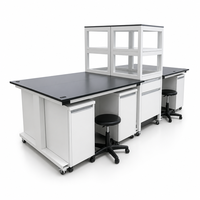 Banc d'islande de laboratoire en acier robuste avec plan de travail en résine époxy et rangement modulaire pour la recherche universitaire
