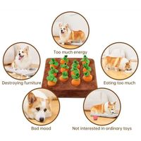 Jouet en peluche personnalisé en forme de carotte, jouet sensoriel interactif éducatif pour enfants et animaux de compagnie, avec fonction de tirer la carotte pour la rééducation