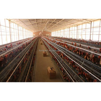 Estructura de gallinero prefabricado, granja avícola, gallinero móvil de acero prefabricado