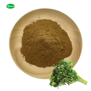 Natural puro 12:1 Coriandrum sativum l de extracto de semillas de cilantro