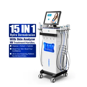 15 In 1 Hydra Beauty OEM ODM Multifunction Beauty Salon Equipment Facial Machine Microdermabrasion Machine Skin Analyzer