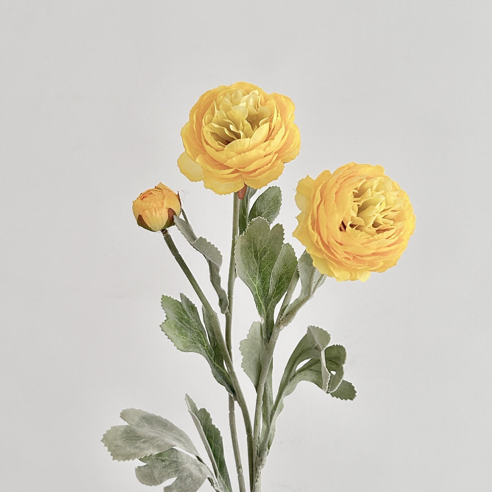 สีเหลือง