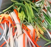 Frietjes Groente Fruit Kubus Snijmachine Aardappelchips Verwerking Strip Cutter Voor Industrieën