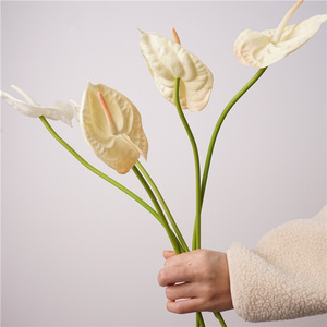 Anthurium Berkualitas Tinggi Tangkai Tunggal Tekstur Lembut Seperti Gel Bunga Api Anthurium untuk Dekorasi Rumah, Pernikahan, Liburan, Rangkaian Bunga, Fotografi