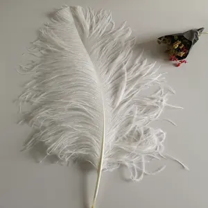 उच्च गुणवत्ता वाले प्राकृतिक ब्लीच्ड पंख ओस्ट्रिक ट्रिम थोक बड़े सफेद ओस्ट्रिक पंख फैन्ट्रिक