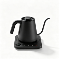 Bouilloire électrique 1,0 litre 1200W, chauffe rapide, base tactile, affichage de la température en temps réel, maintien au chaud 30 min, acier inoxydable