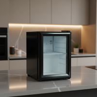 Mini réfrigérateur à boissons de 21 L, thermostat transparent, utilisation à domicile, bar, petit réfrigérateur