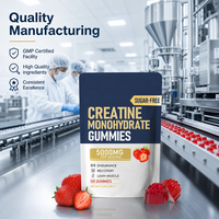 Créatine Monohydrate OEM en Poudre Instantanée 5000mg Sans Sucre Végétalienne Saveur Fraise pour l'Endurance, la Récupération et la Masse Musculaire Maigre des Adultes