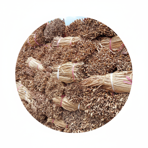 Vente jacinthe d'eau torsadée pour l'exportation en grande quantité en 2024/ Ms.Thi - Product Image 1