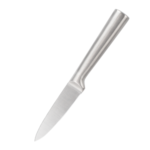 Stainless Steel Plastic <b>Kitchen</b> Utility <b>Knife</b> Ultra <b>Sharp</b> Multi-Purpose Fruit <b>Knife</b> Ambidextrous Brushed Finish OEM/ODM - Product Image 1