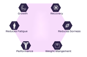 Cápsulas de BCAA de etiqueta privada OEM, aminoácidos esenciales de cadena ramificada amigables con Keto, 1000mg, 60 cápsulas - Product Image 4