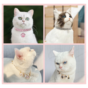 Accesorios de lujo para mascotas Collar de joyería ajustable para mascotas Collar de perro gato perla de diamantes de imitación - Product Image 4