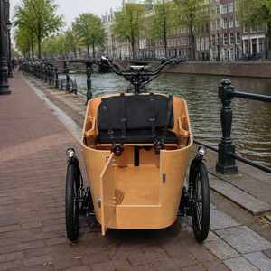 <span class=keywords><strong>Bici</strong></span> <span class=keywords><strong>Cargo</strong></span> elettriche dirette in fabbrica per la vendita Green Life Front Load elettrico <span class=keywords><strong>Cargo</strong></span> Bike elettrico 3 ruote <span class=keywords><strong>bici</strong></span> adulti - Product Image 1