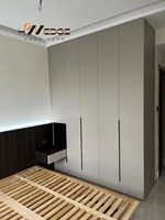 Meuble de présentation en bois Japandi OEM ODM, placage chêne, portes en verre noir, étagères éclairées par LED, meubles sur mesure
