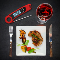 Accessoires de cuisine ménagers Thermomètre numérique à lecture instantanée pour la viande Cuisson BBQ Thermomètre de cuisine