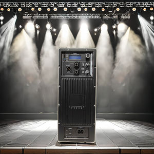 Mellisong - Módulo Amplificador <span class=keywords><strong>de</strong></span> <span class=keywords><strong>Placa</strong></span> DSP <span class=keywords><strong>de</strong></span> Alta Potencia para Sistema <span class=keywords><strong>de</strong></span> <span class=keywords><strong>Sonido</strong></span> Profesional en Vivo, Rango Completo Activo, Metálico, Superventas - Product Image 3