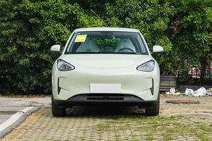 Mini <span class=keywords><strong>auto</strong></span> a buon mercato 2025 Geely GEOME 2025 modello 310km edizione della gioventù Mini <span class=keywords><strong>auto</strong></span> elettrica nuova - Product Image 2