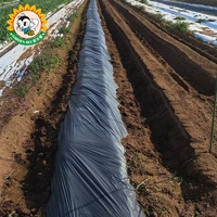 Film de paillage biodégradable pour jardin, en PBAT PLA, compostable, pour l'agriculture, certifié DIN BPI
